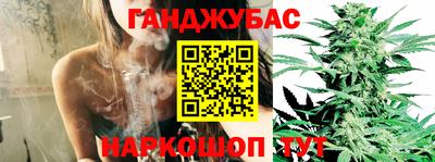 apvp Краснодар