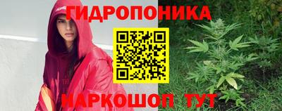 apvp Краснодар