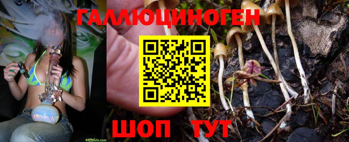 Галлюциногенные грибы мухоморы  Вход с VPN  Галлюциногенные грибы прущие грибы  Партизанск 