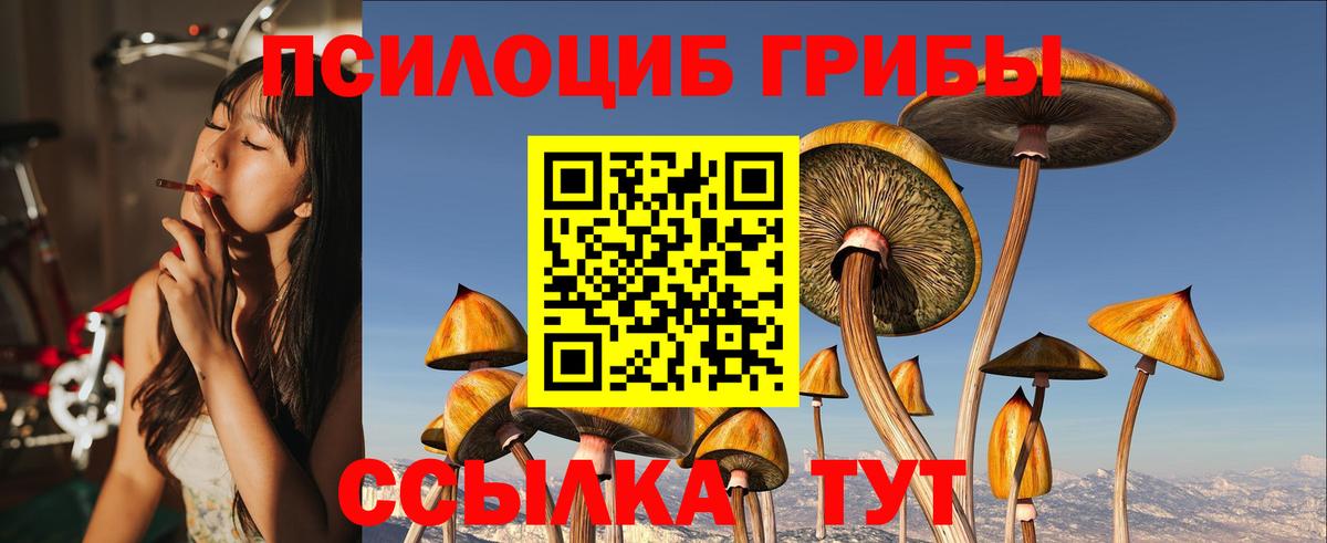 где купить   Партизанск  Галлюциногенные грибы Psilocybine cubensis 