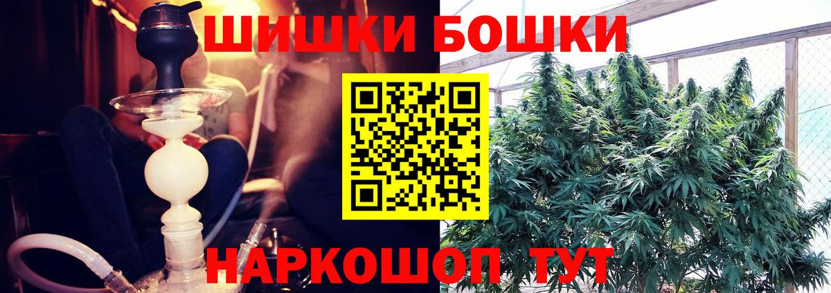Конопля сатива Партизанск